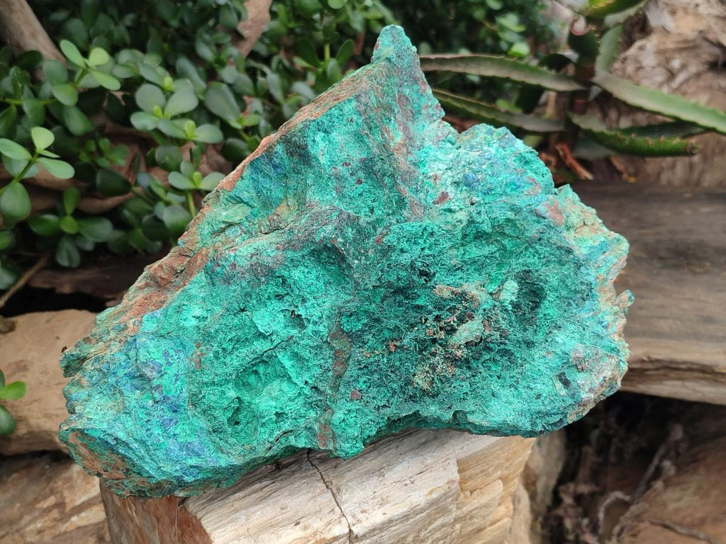 Natural Cobbed Large Shattuckite, Malachite, Chrysocolla and Azurite Specimen x 1 From Kaokoveld, Namibia - Toprock Gemstones and Minerals 