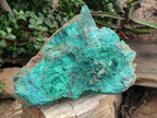 Natural Cobbed Large Shattuckite, Malachite, Chrysocolla and Azurite Specimen x 1 From Kaokoveld, Namibia - Toprock Gemstones and Minerals 