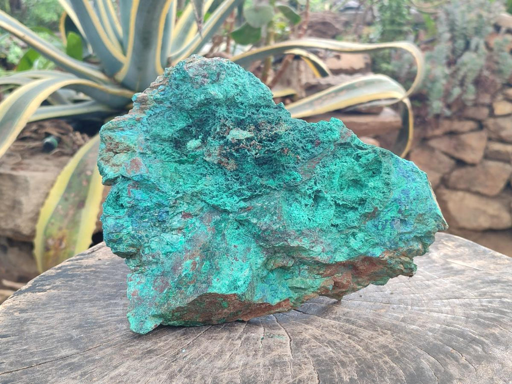 Natural Cobbed Large Shattuckite, Malachite, Chrysocolla and Azurite Specimen x 1 From Kaokoveld, Namibia - Toprock Gemstones and Minerals 