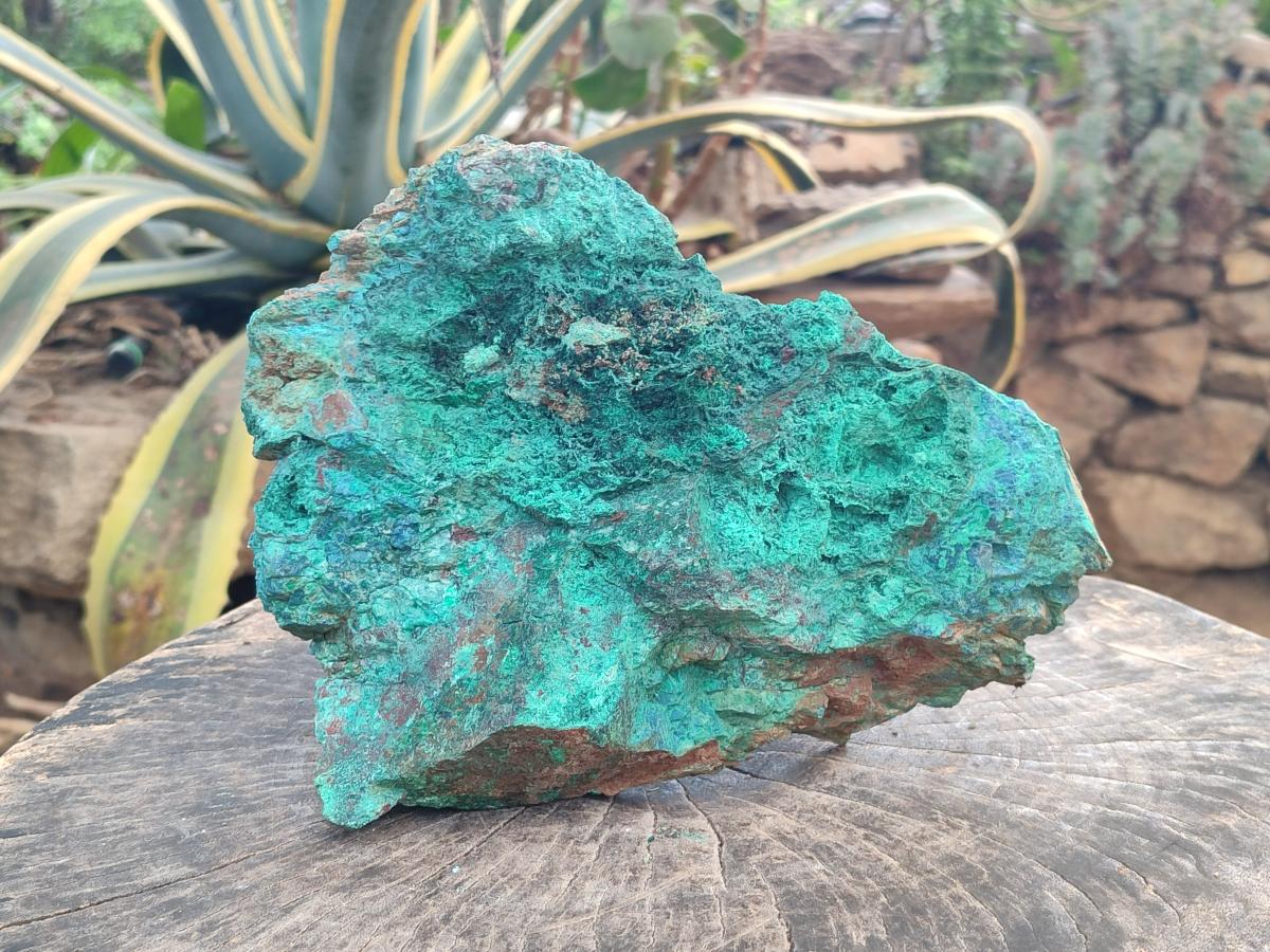 Natural Cobbed Large Shattuckite, Malachite, Chrysocolla and Azurite Specimen x 1 From Kaokoveld, Namibia - Toprock Gemstones and Minerals 