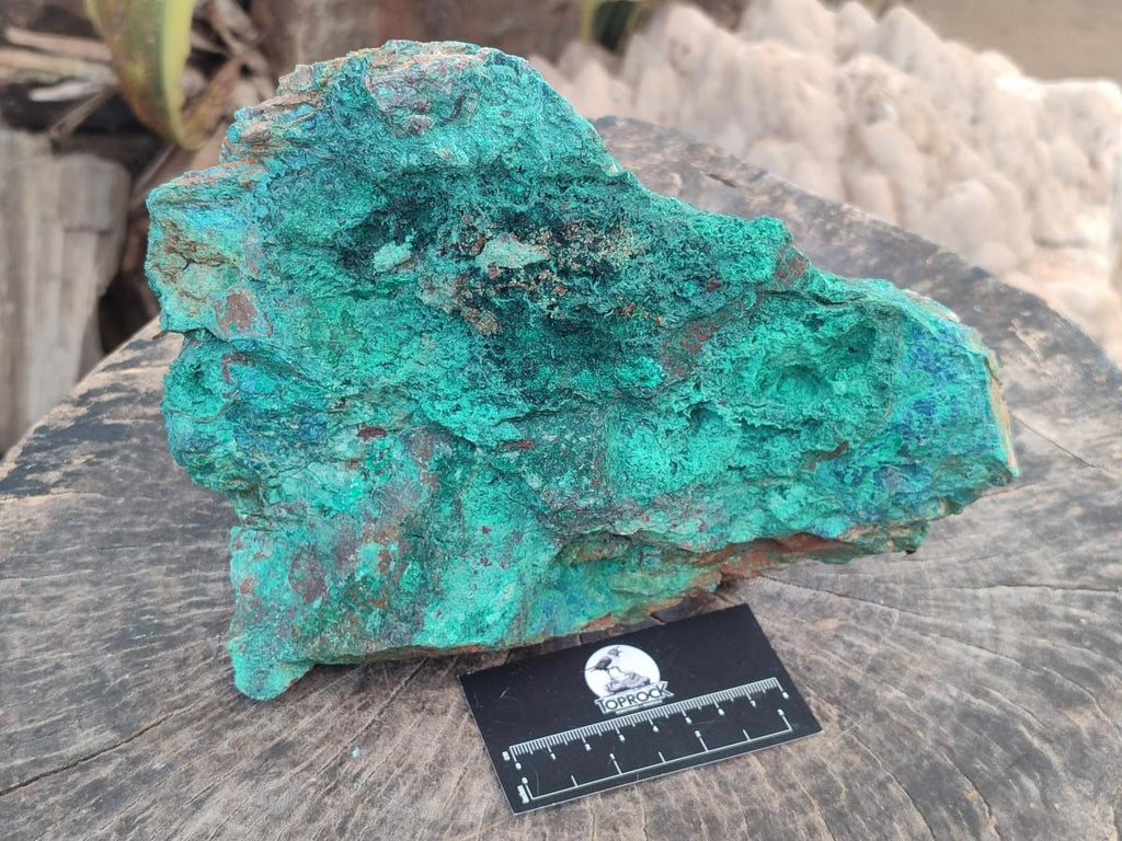 Natural Cobbed Large Shattuckite, Malachite, Chrysocolla and Azurite Specimen x 1 From Kaokoveld, Namibia - Toprock Gemstones and Minerals 
