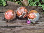 Polished Polychrome Jasper Spheres x 3 From NW Coast, Madagascar - Toprock Gemstones and Minerals 