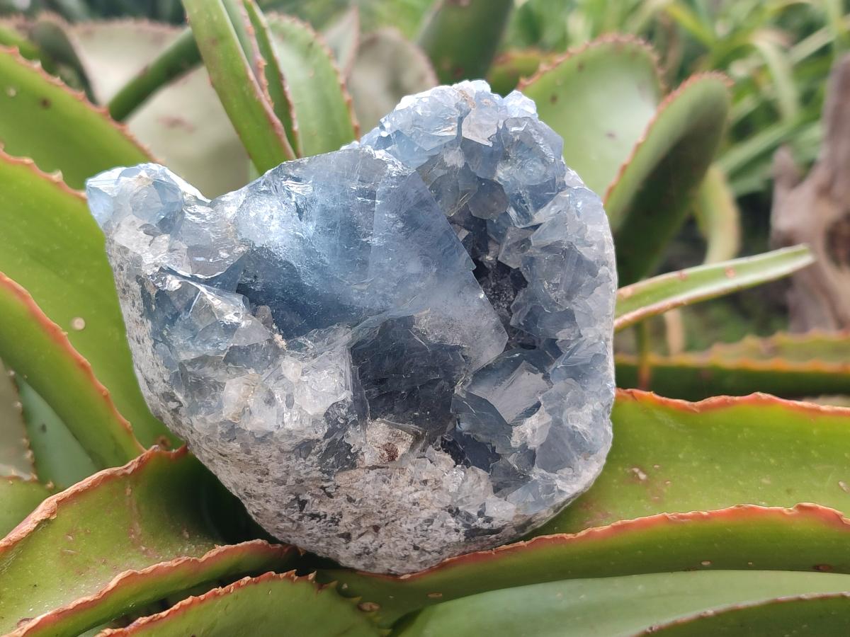 Natural Blue Celestite Cluster Specimens x 2 From Sakoany, Madagascar - Toprock Gemstones and Minerals 