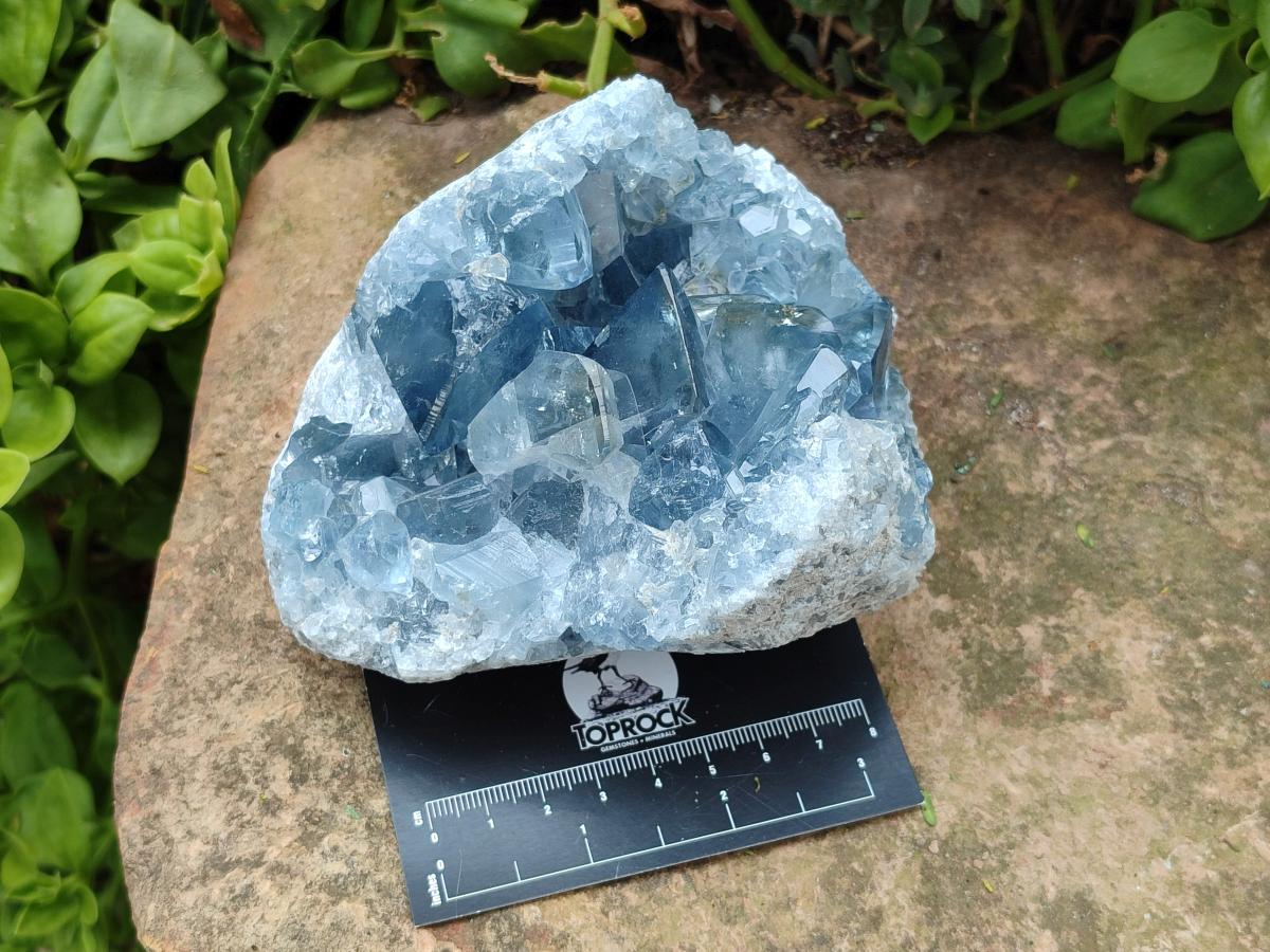 Natural Blue Celestite Cluster Specimens x 2 From Sakoany, Madagascar - Toprock Gemstones and Minerals 