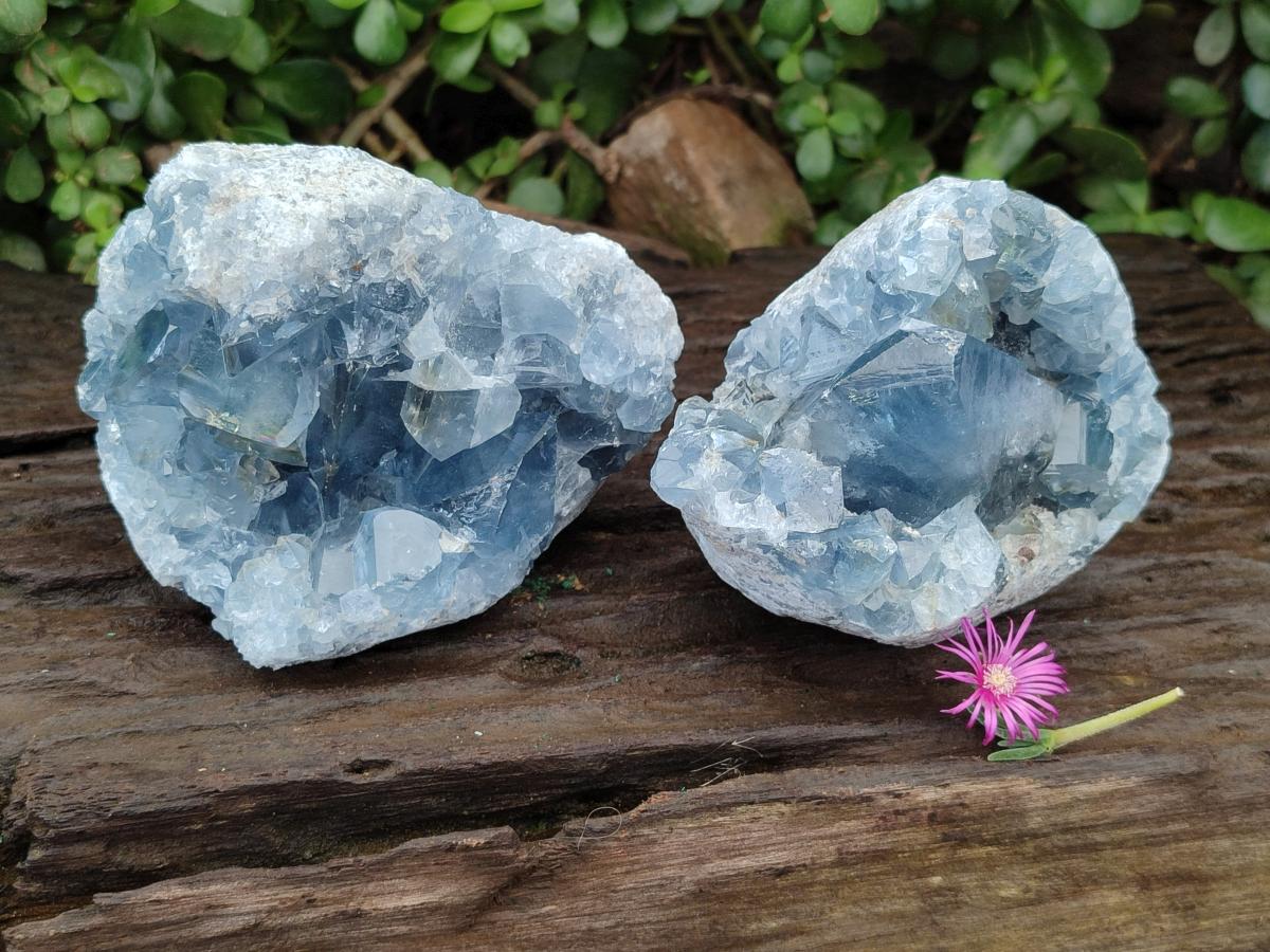 Natural Blue Celestite Cluster Specimens x 2 From Sakoany, Madagascar - Toprock Gemstones and Minerals 