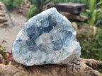 Natural Blue Celestite Cluster Specimens x 2 From Sakoany, Madagascar - Toprock Gemstones and Minerals 