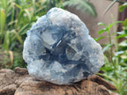 Natural Blue Celestite Cluster Specimens x 2 From Sakoany, Madagascar - Toprock Gemstones and Minerals 