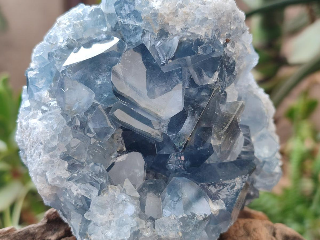 Natural Blue Celestite Cluster Specimens x 2 From Sakoany, Madagascar - Toprock Gemstones and Minerals 