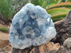 Natural Blue Celestite Cluster Specimens x 2 From Sakoany, Madagascar - Toprock Gemstones and Minerals 