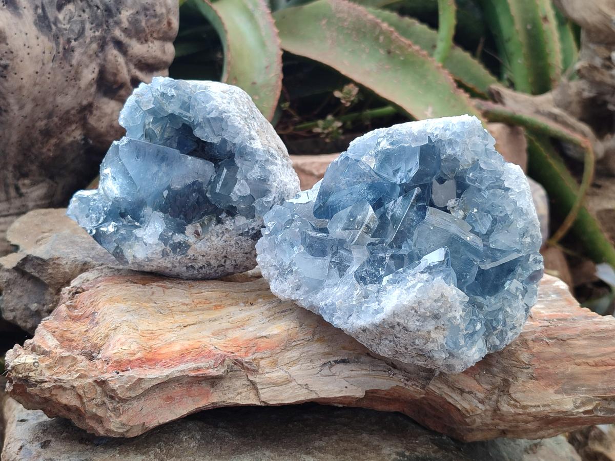 Natural Blue Celestite Cluster Specimens x 2 From Sakoany, Madagascar - Toprock Gemstones and Minerals 