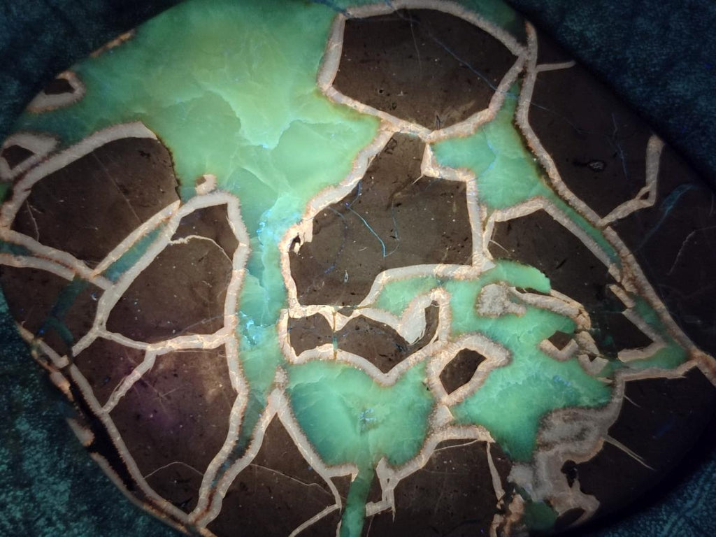 Polished Septerye Slices x 4 From Mahajanga, Madagascar - Toprock Gemstones and Minerals 