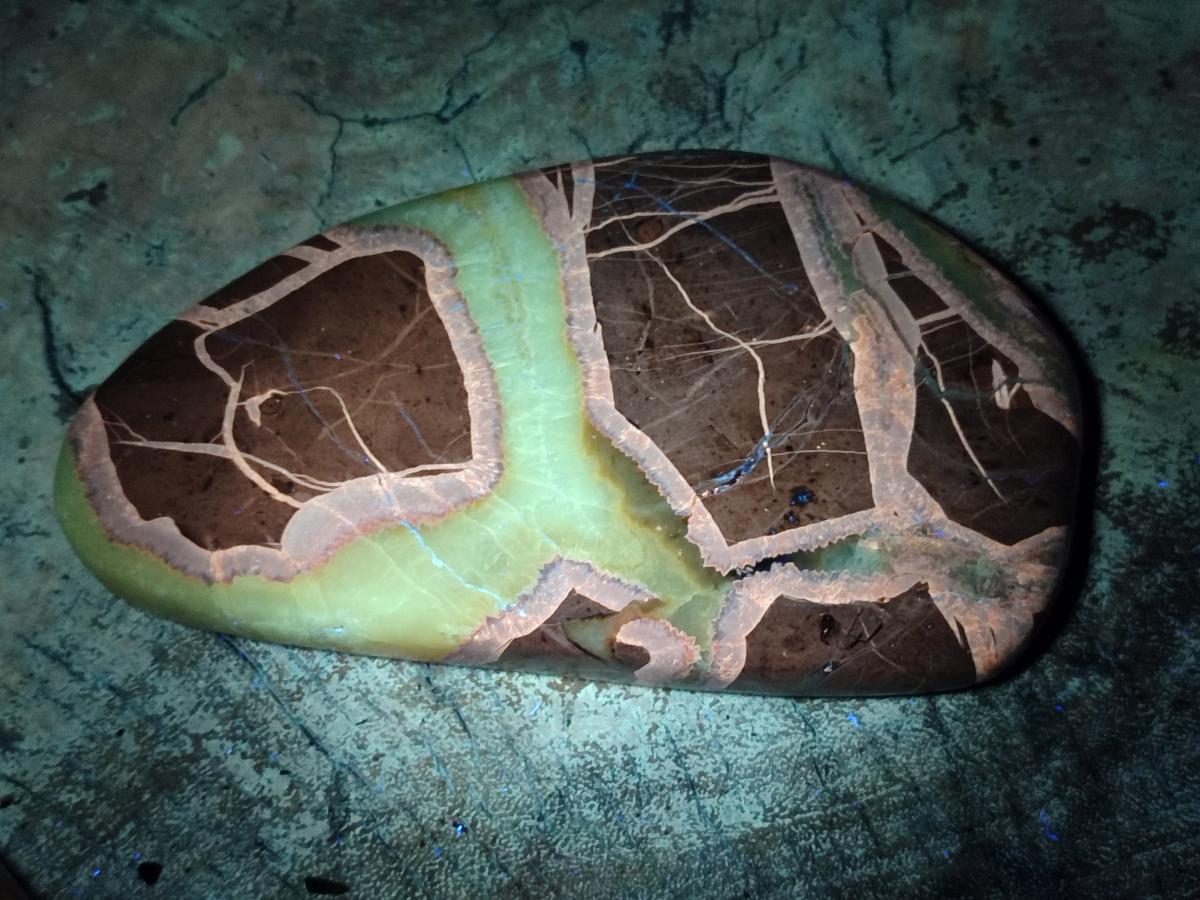 Polished Septerye Slices x 4 From Mahajanga, Madagascar - Toprock Gemstones and Minerals 