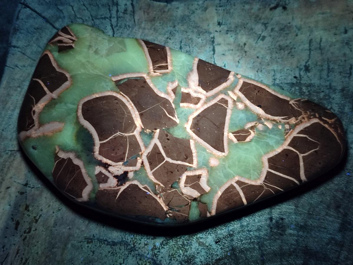 Polished Septerye Slices x 4 From Mahajanga, Madagascar - Toprock Gemstones and Minerals 