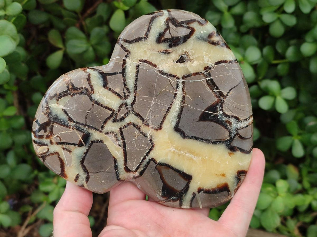 Polished Septerye Slices x 4 From Mahajanga, Madagascar - Toprock Gemstones and Minerals 