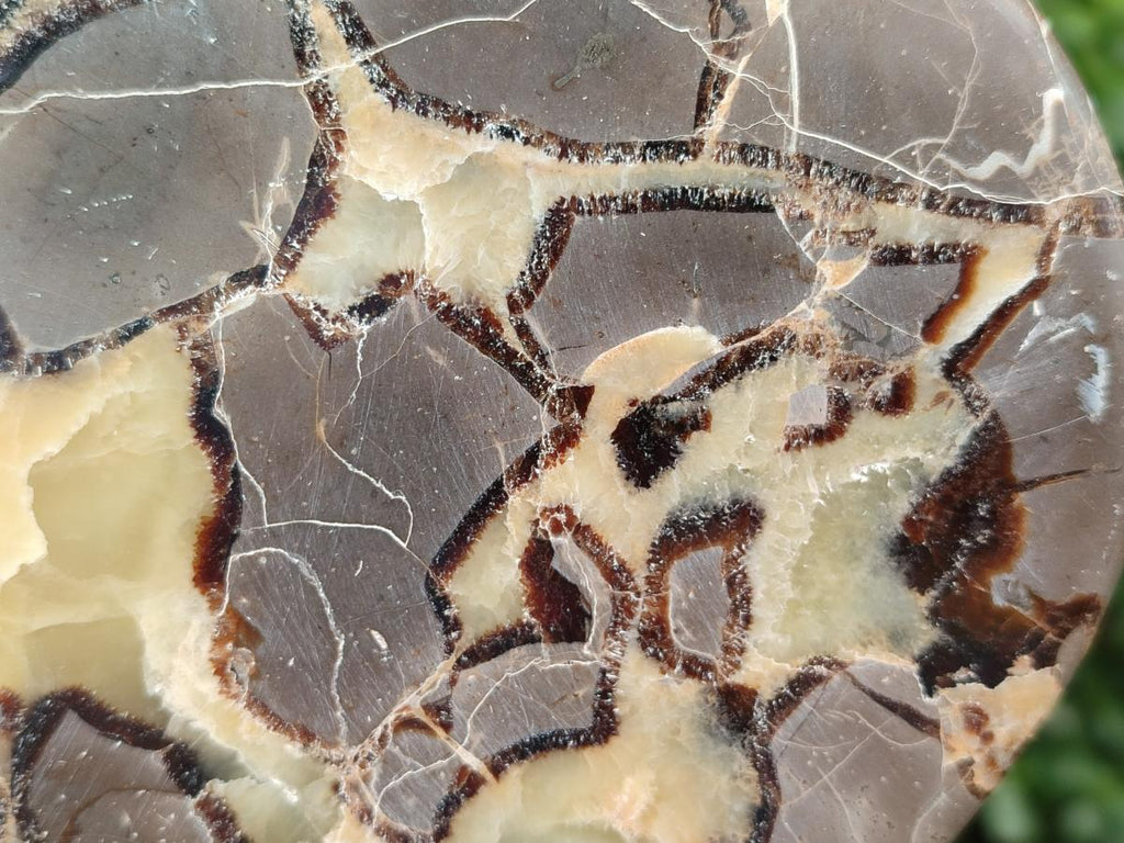 Polished Septerye Slices x 4 From Mahajanga, Madagascar - Toprock Gemstones and Minerals 