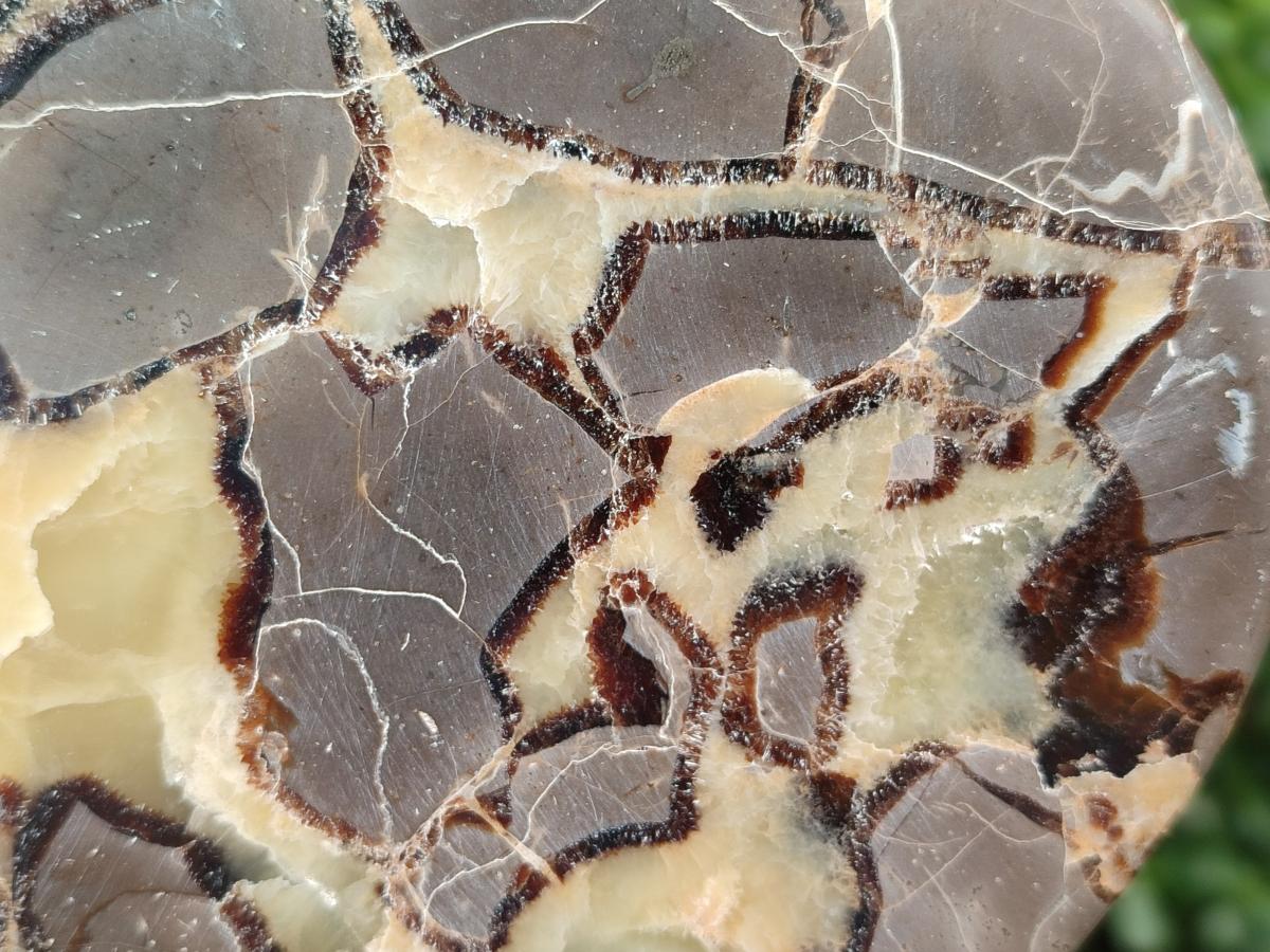 Polished Septerye Slices x 4 From Mahajanga, Madagascar - Toprock Gemstones and Minerals 