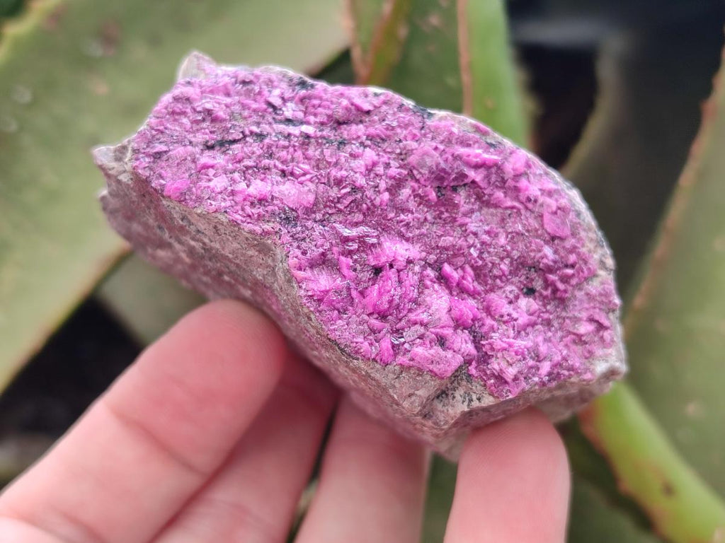 Natural Salrose Cobaltion Dolomite Specimens with Silky Malachite Crystals x 6 From Kakanda, Congo - Toprock Gemstones and Minerals 