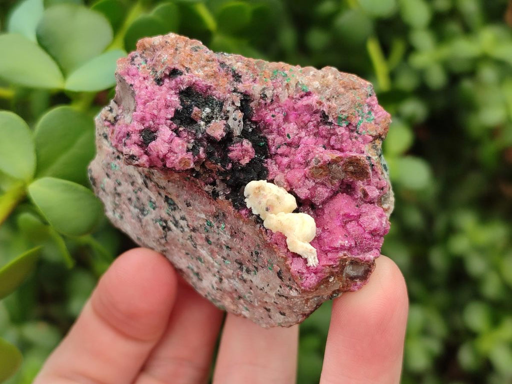Natural Salrose Cobaltion Dolomite Specimens with Silky Malachite Crystals x 6 From Kakanda, Congo - Toprock Gemstones and Minerals 