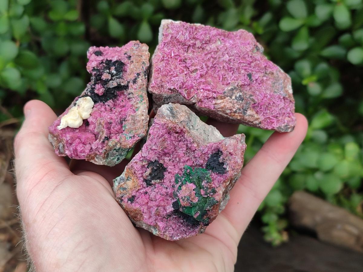 Natural Salrose Cobaltion Dolomite Specimens with Silky Malachite Crystals x 6 From Kakanda, Congo - Toprock Gemstones and Minerals 