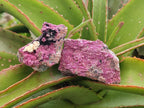 Natural Salrose Cobaltion Dolomite Specimens with Silky Malachite Crystals x 6 From Kakanda, Congo - Toprock Gemstones and Minerals 