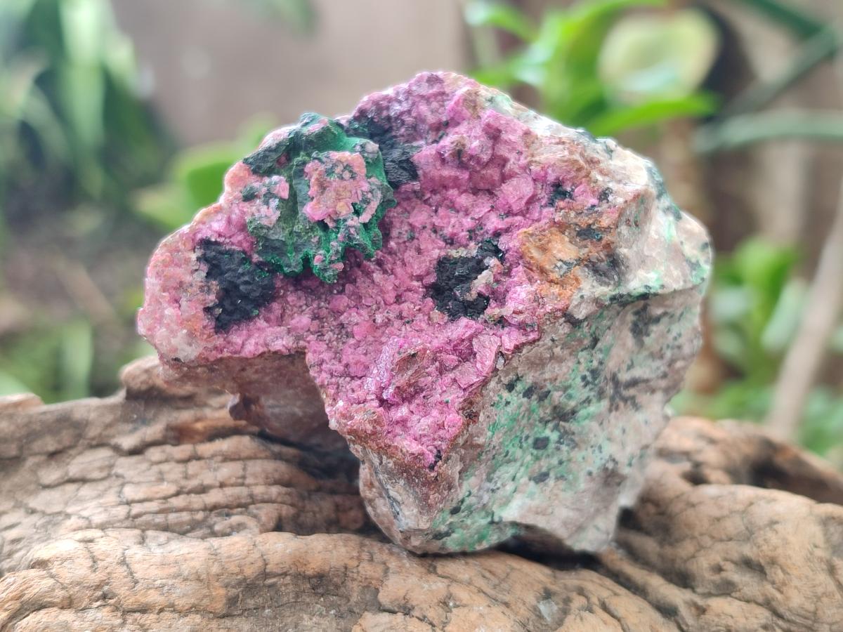 Natural Salrose Cobaltion Dolomite Specimens with Silky Malachite Crystals x 6 From Kakanda, Congo - Toprock Gemstones and Minerals 