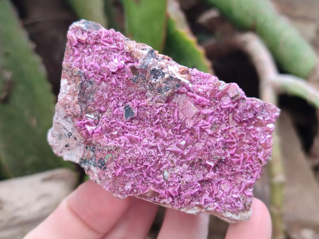 Natural Salrose Cobaltion Dolomite Specimens with Silky Malachite Crystals x 6 From Kakanda, Congo - Toprock Gemstones and Minerals 