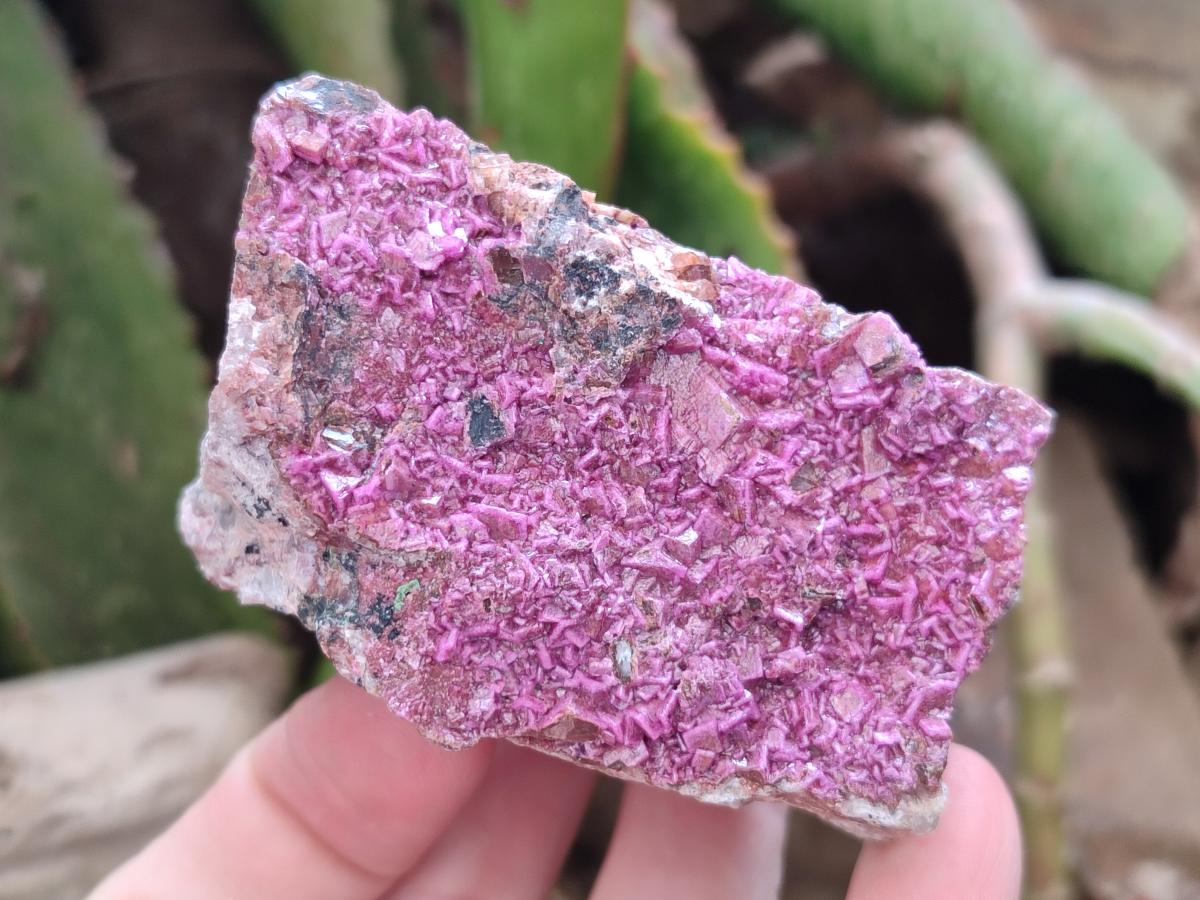 Natural Salrose Cobaltion Dolomite Specimens with Silky Malachite Crystals x 6 From Kakanda, Congo - Toprock Gemstones and Minerals 