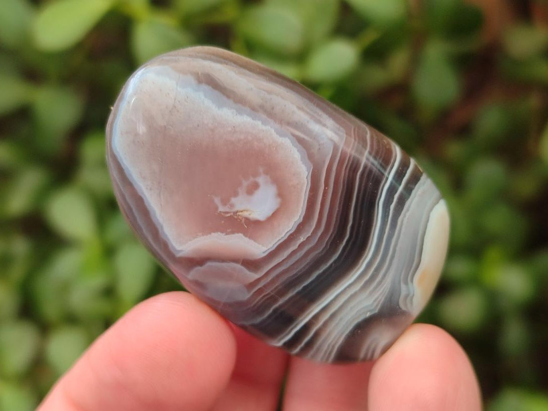 Polished Red Shashe River Agate Free Forms x 20 From Shashe River, Zimbabwe - Toprock Gemstones and Minerals 