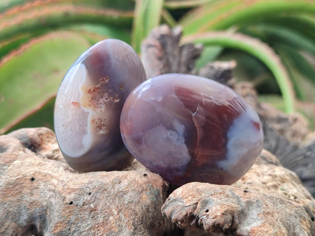 Polished Red Shashe River Agate Free Forms x 20 From Shashe River, Zimbabwe - Toprock Gemstones and Minerals 