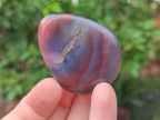 Polished Red Shashe River Agate Free Forms x 20 From Shashe River, Zimbabwe - Toprock Gemstones and Minerals 