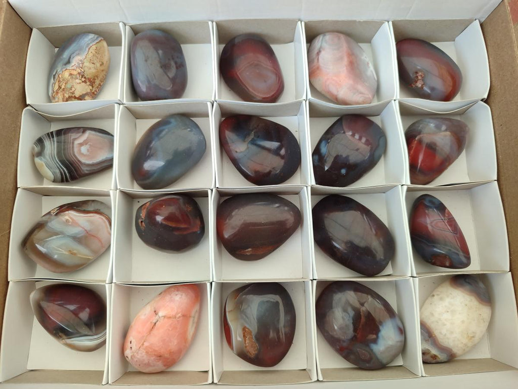 Polished Red Shashe River Agate Free Forms x 20 From Shashe River, Zimbabwe - Toprock Gemstones and Minerals 
