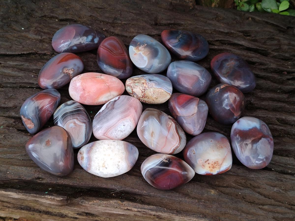 Polished Red Shashe River Agate Free Forms x 20 From Shashe River, Zimbabwe - Toprock Gemstones and Minerals 