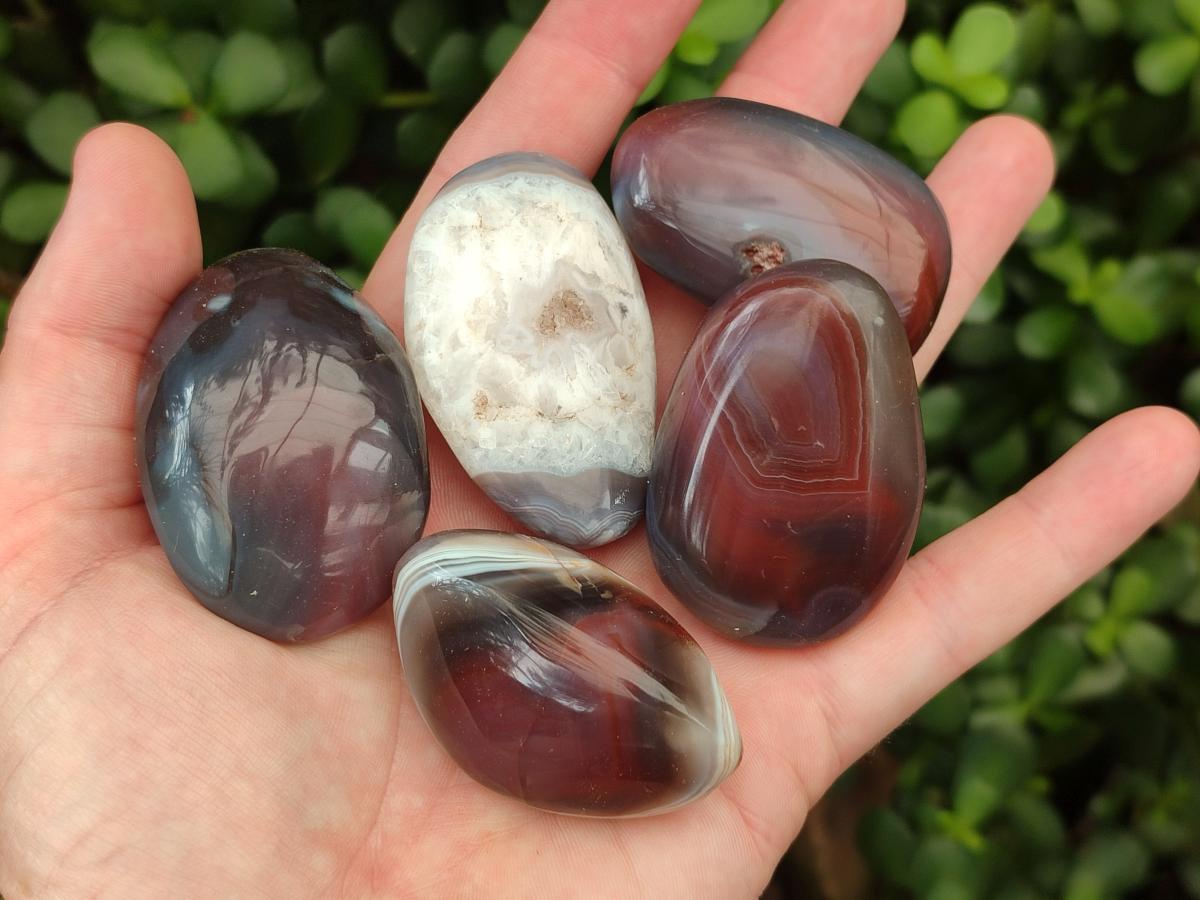 Polished Red Shashe River Agate Free Forms x 20 From Shashe River, Zimbabwe - Toprock Gemstones and Minerals 