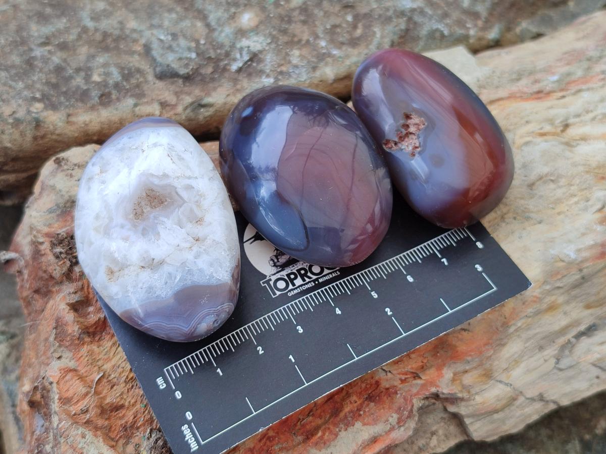Polished Red Shashe River Agate Free Forms x 20 From Shashe River, Zimbabwe - Toprock Gemstones and Minerals 