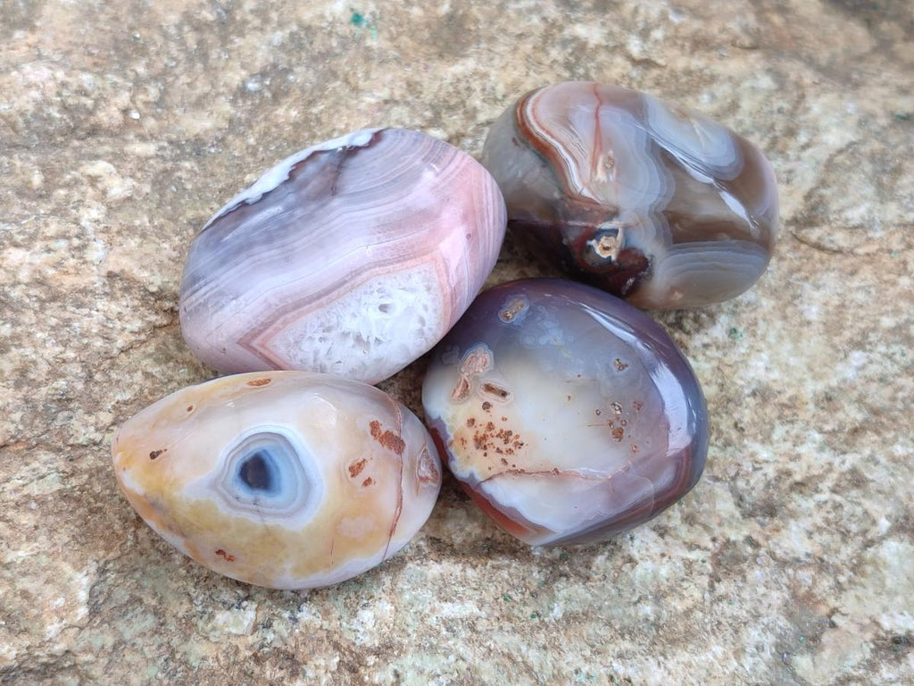 Polished Red Shashe River Agate Free Forms x 20 From Shashe River, Zimbabwe - Toprock Gemstones and Minerals 