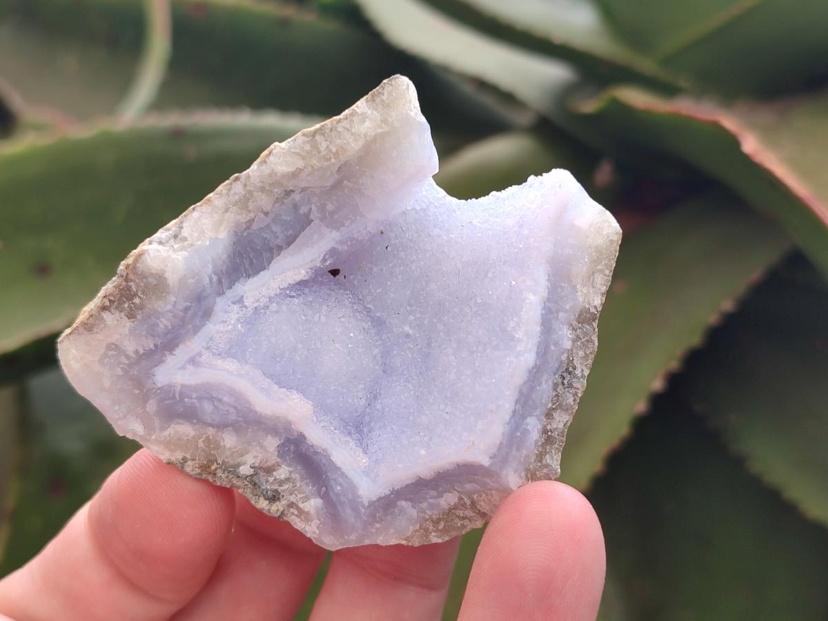 Natural Blue Lace Agate Geode Specimens x 24 From Nsanje, Malawi - Toprock Gemstones and Minerals 
