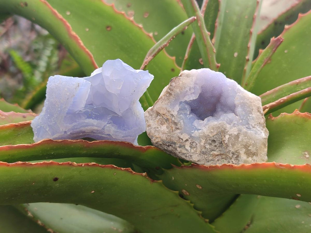 Natural Blue Lace Agate Geode Specimens x 24 From Nsanje, Malawi - Toprock Gemstones and Minerals 