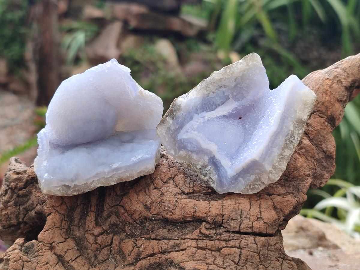 Natural Blue Lace Agate Geode Specimens x 24 From Nsanje, Malawi - Toprock Gemstones and Minerals 