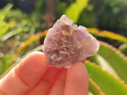 Natural Rare Small Amethyst Asylum Quartz Clusters x 70 From Luena, Congo - Toprock Gemstones and Minerals 
