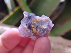 Natural Rare Small Amethyst Asylum Quartz Clusters x 70 From Luena, Congo - Toprock Gemstones and Minerals 