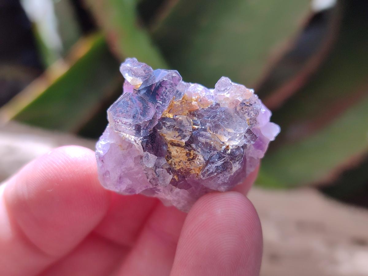 Natural Rare Small Amethyst Asylum Quartz Clusters x 70 From Luena, Congo - Toprock Gemstones and Minerals 