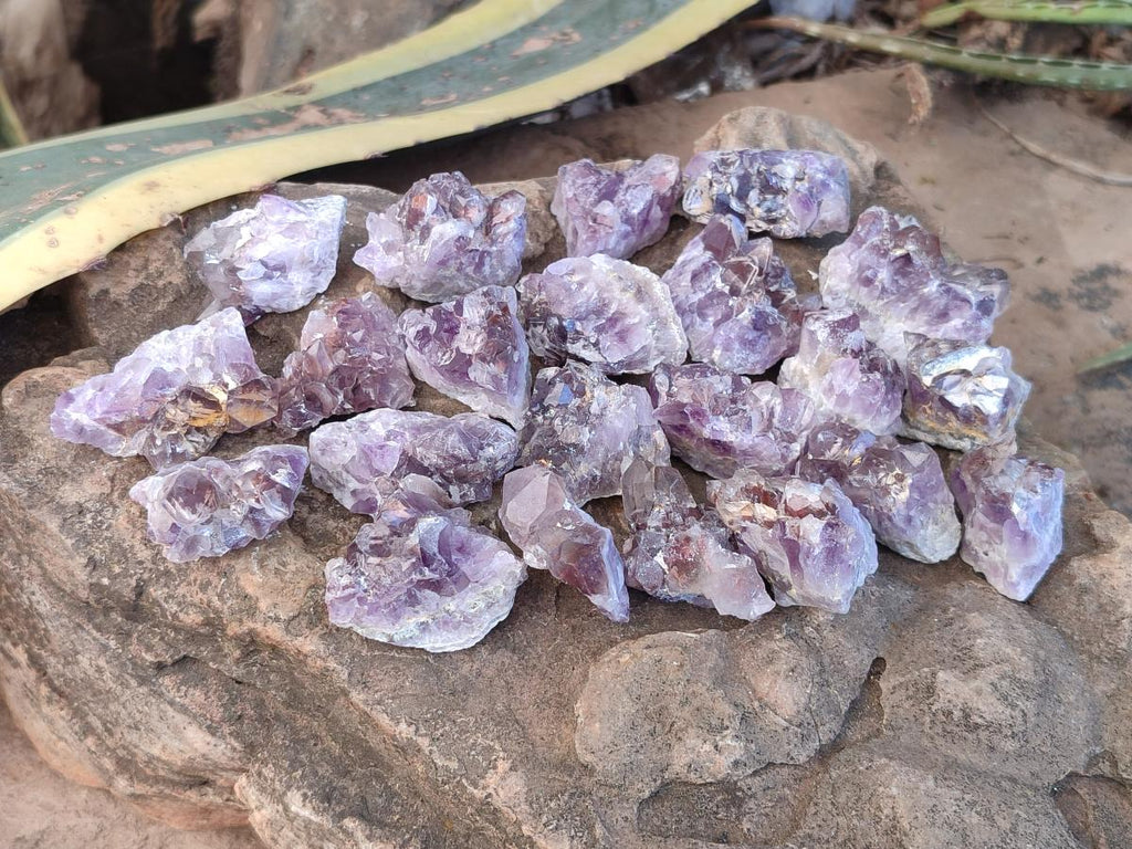 Natural Rare Small Amethyst Asylum Quartz Clusters x 70 From Luena, Congo - Toprock Gemstones and Minerals 