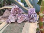 Natural Rare Small Amethyst Asylum Quartz Clusters x 70 From Luena, Congo - Toprock Gemstones and Minerals 
