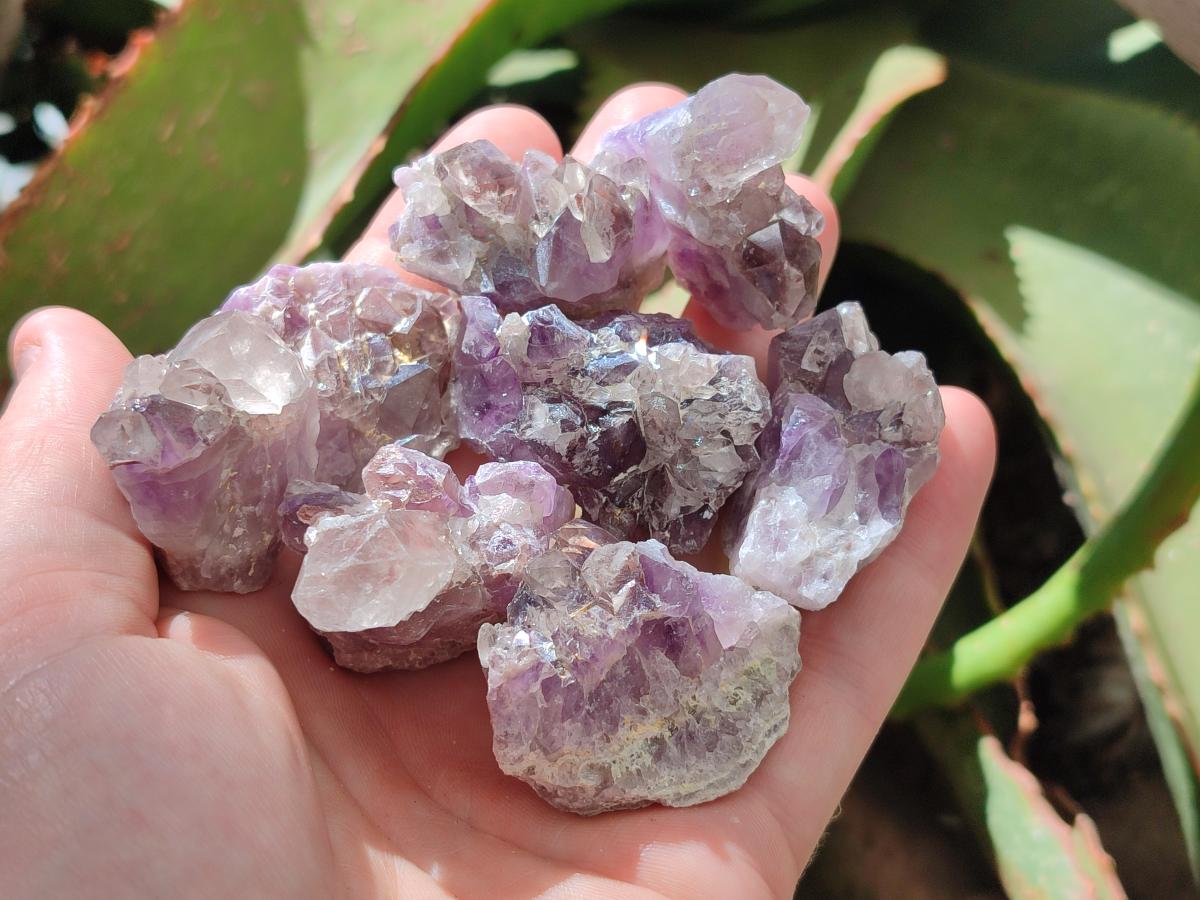 Natural Rare Small Amethyst Asylum Quartz Clusters x 70 From Luena, Congo - Toprock Gemstones and Minerals 
