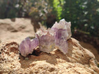 Natural Rare Small Amethyst Asylum Quartz Clusters x 70 From Luena, Congo - Toprock Gemstones and Minerals 