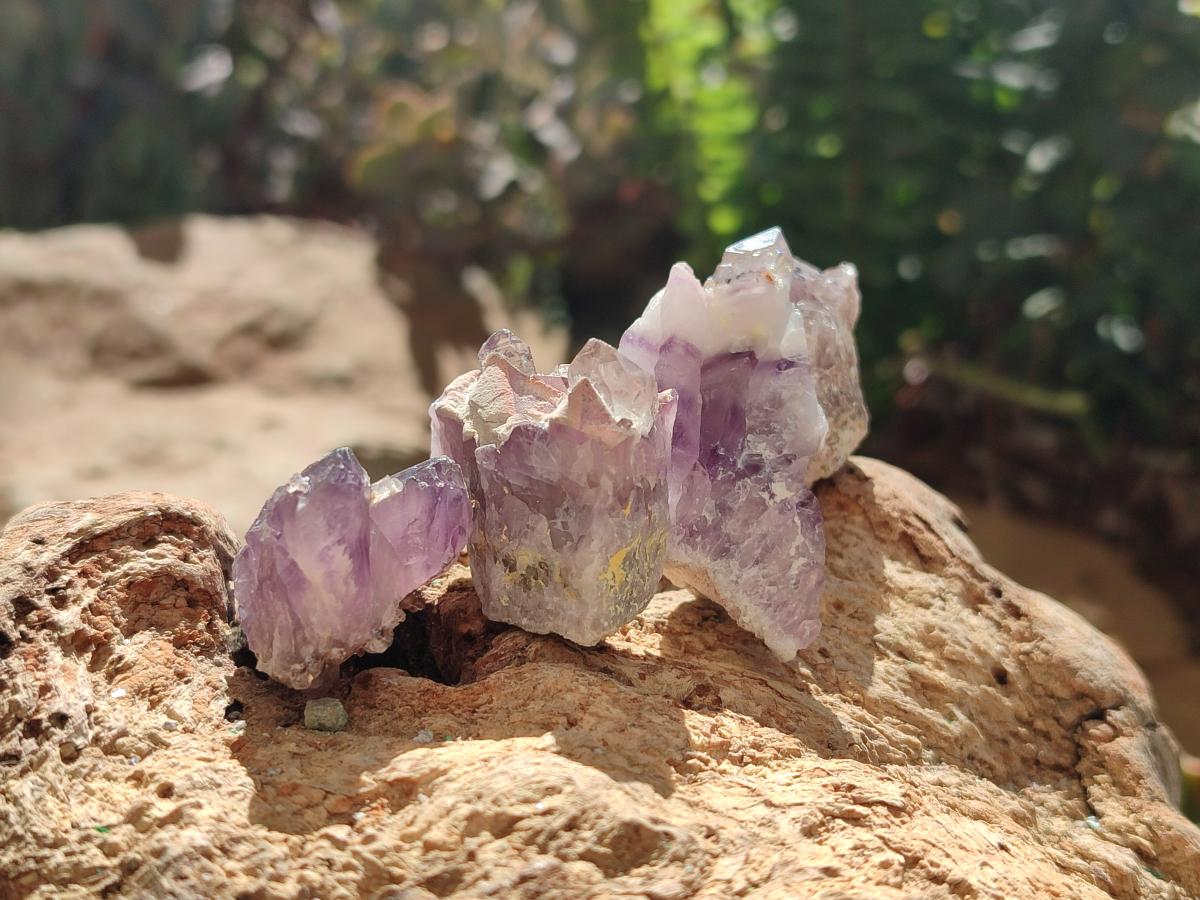 Natural Rare Small Amethyst Asylum Quartz Clusters x 70 From Luena, Congo - Toprock Gemstones and Minerals 