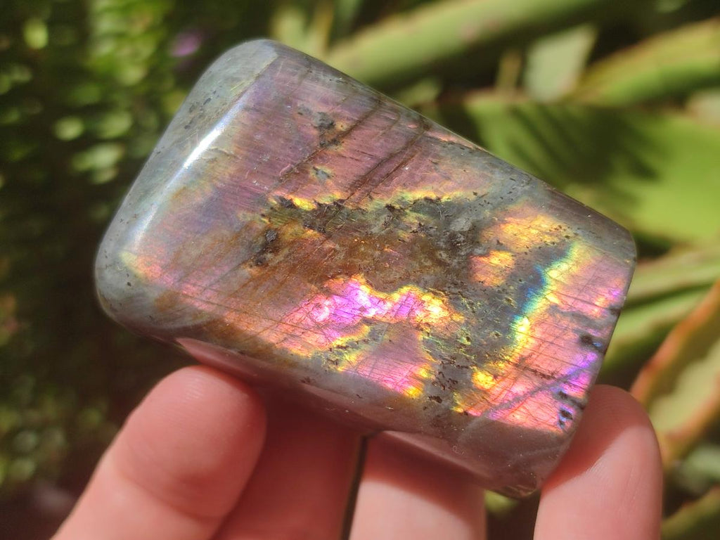Polished Rare Purple Sunset Flash Labradorite Standing Free Forms x 12 From Madagascar - Toprock Gemstones and Minerals 