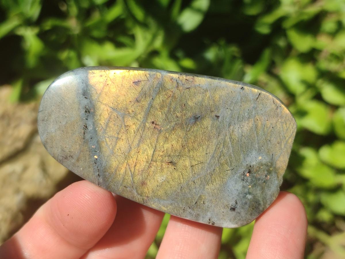 Polished Rare Purple Sunset Flash Labradorite Standing Free Forms x 12 From Madagascar - Toprock Gemstones and Minerals 