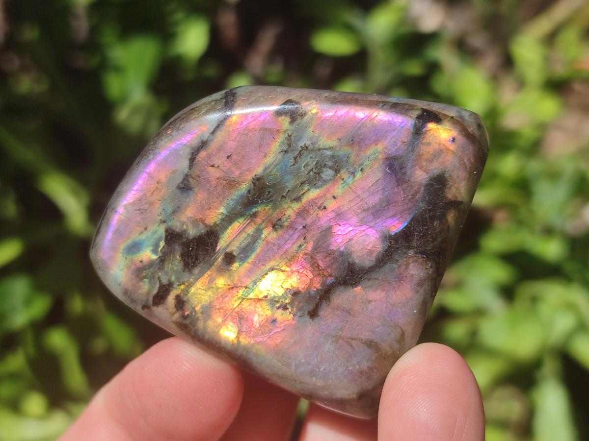 Polished Rare Purple Sunset Flash Labradorite Standing Free Forms x 12 From Madagascar - Toprock Gemstones and Minerals 
