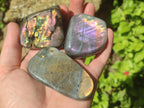 Polished Rare Purple Sunset Flash Labradorite Standing Free Forms x 12 From Madagascar - Toprock Gemstones and Minerals 